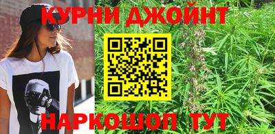 гидра Малгобек