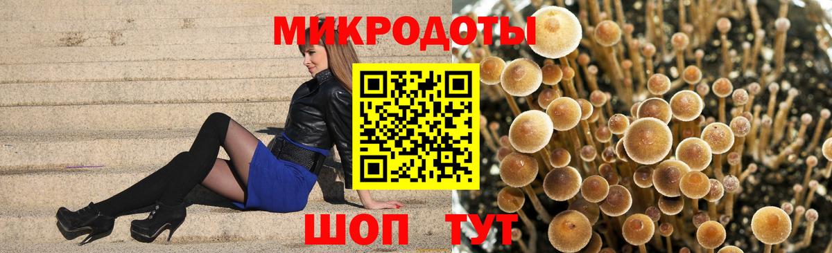 Псилоцибиновые грибы GOLDEN TEACHER  Вход с VPN  Псилоцибиновые грибы ЛСД  где найти   Торжок 